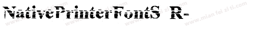 NativePrinterFontS R字体转换